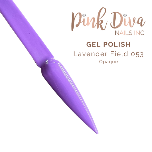 Lavender Field 053