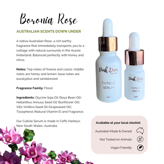 Boronia Rose